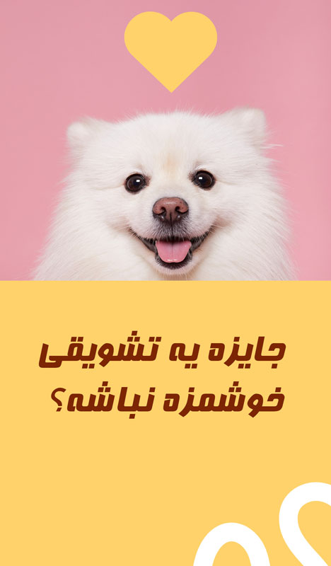 راینا شاپ