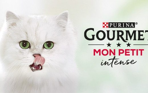 انواع کنسرو گورمت