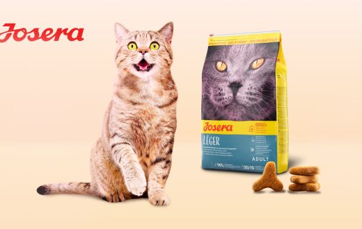 غذای خشک جوسرا لجر