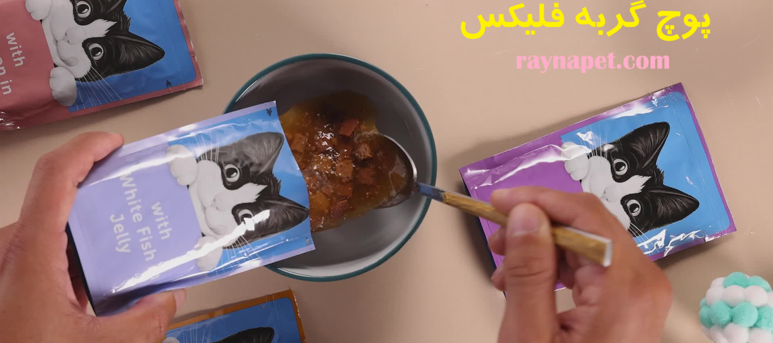 پوچ گربه فلیکس