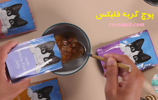 پوچ گربه فلیکس