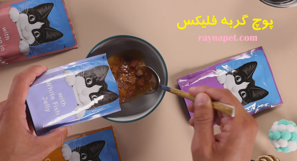 پوچ گربه فلیکس